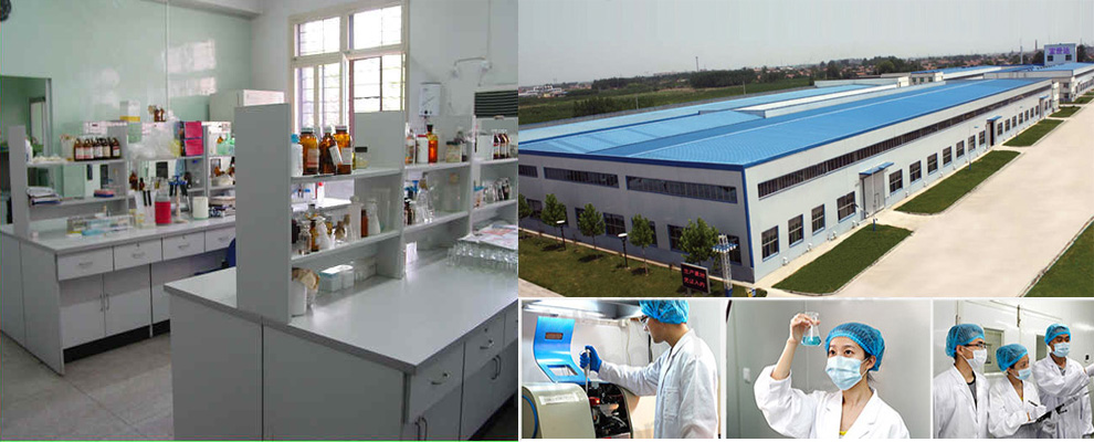 ANK technology factory overview